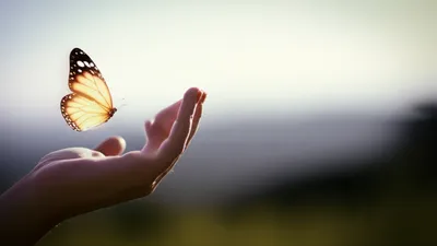 Illustration wish - Image 1