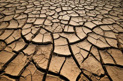 Illustration fissured - Image 1