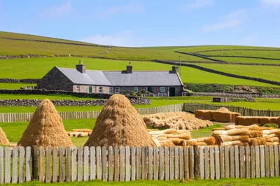 Illustration haggard - Image 1