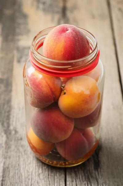 Illustration lute - Image 1