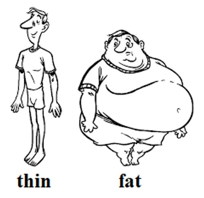 Illustration typify - Image 2