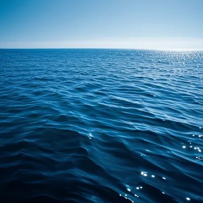 Illustration oceanic - Image 1