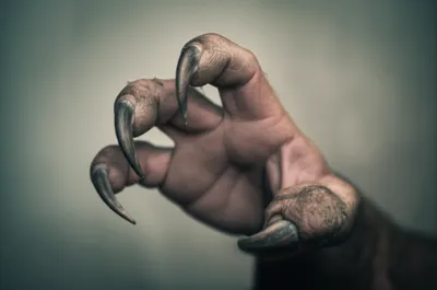 Illustration fist - Image 1