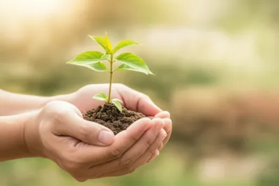 Illustration invests - Image 1