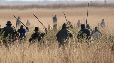 Illustration beaters - Image 1