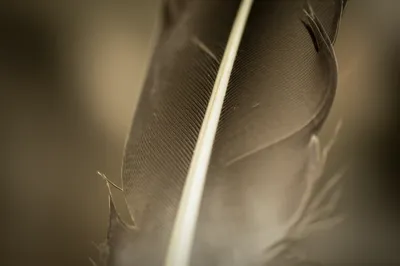 Illustration wire - Image 1