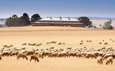 Illustration squatters - Image 1