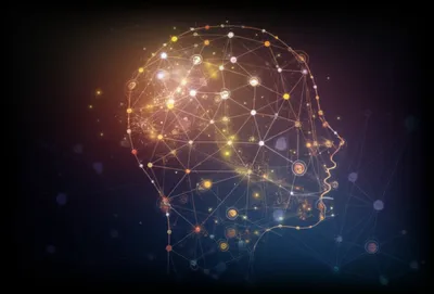 Illustration intellect