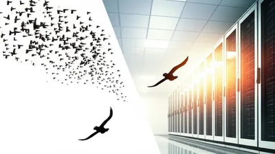 Illustration migrate - Image 1