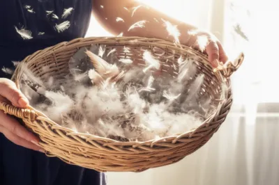 Illustration drives - Image 1