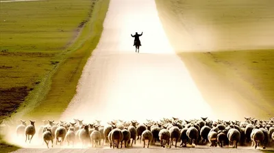 Illustration drove - Image 1