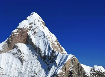 Illustration crested - Image 1