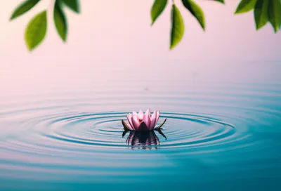 Illustration mild - Image 1