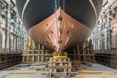 Illustration poppet - Image 1