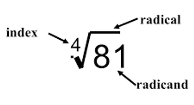 Illustration radical - Image 3