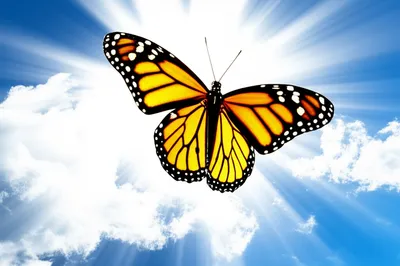 Illustration upgrades - Image 1