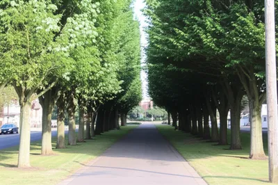 Illustration avenue - Image 1