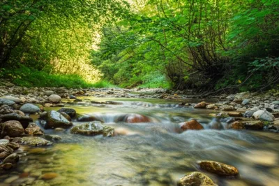 Illustration brooks - Image 1