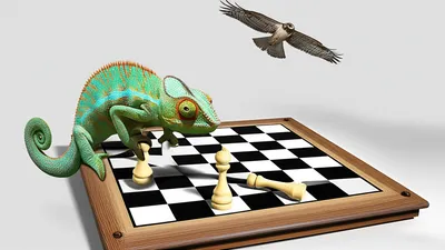 Illustration artifices - Image 1