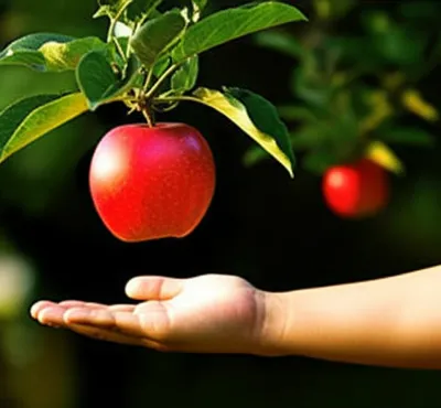 Illustration reaching - Image 1