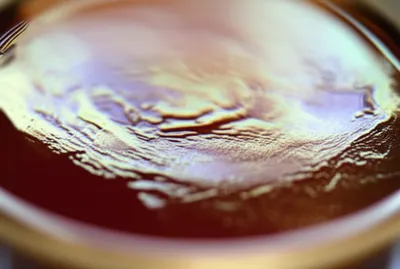 Illustration pellicle