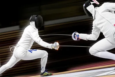 Illustration fencing - Image 1