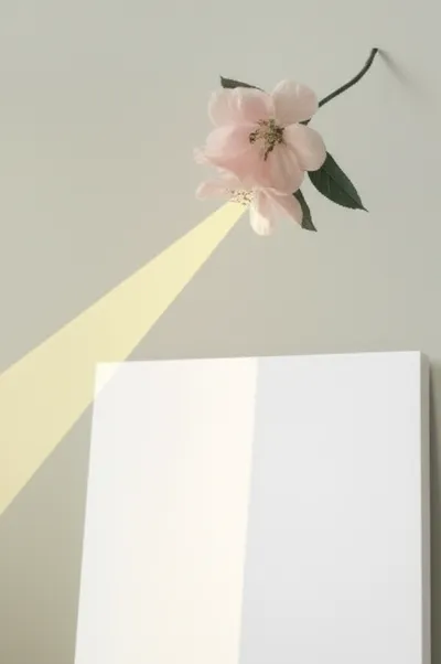 Illustration phot - Image 1