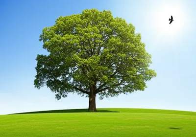 Illustration completed - Image 1