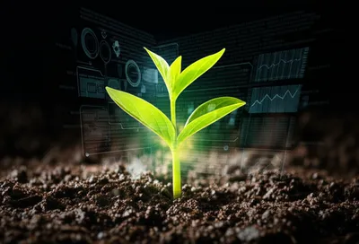 Illustration augmented - Image 1