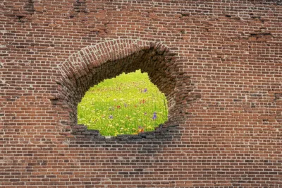 Illustration breaks - Image 1