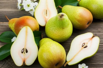 Illustration bergamot - Image 1