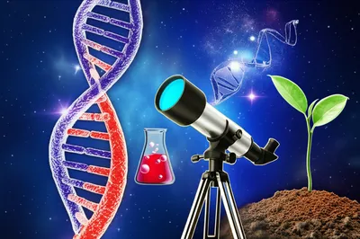 Illustration sciences - Image 1