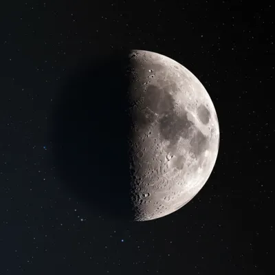 Illustration terminator - Image 1