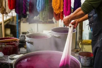 Illustration dyers - Image 1