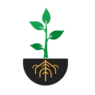 Illustration draw - Image 1