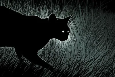 Illustration slink - Image 1