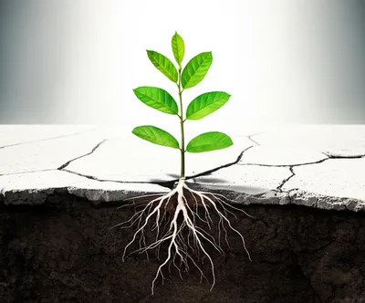 Illustration attacks - Image 1