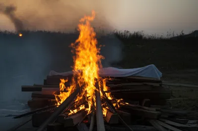 Illustration bales - Image 1