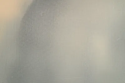 Illustration blooms - Image 1