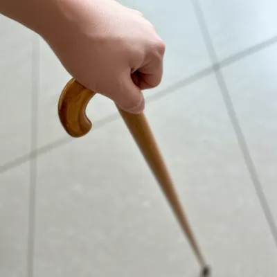 Illustration cane - Image 1