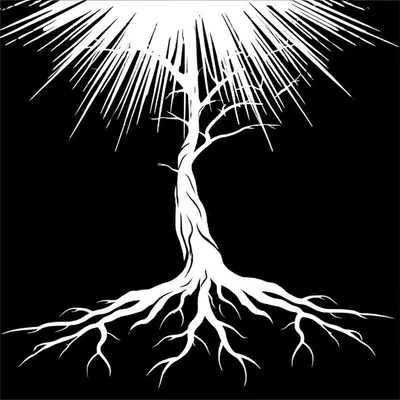 Illustration rooted - Image 1