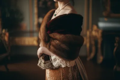 Illustration palatine - Image 1