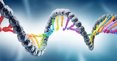 Illustration transcribed - Image 1