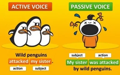 Illustration passive - Image 2