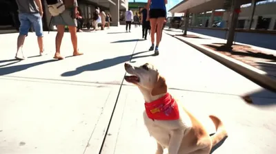 Illustration happens - Image 1