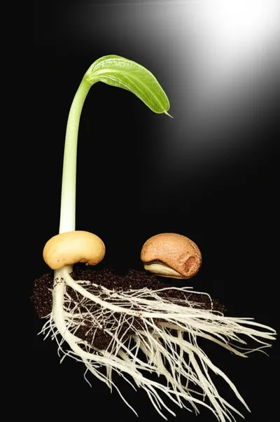 Illustration quickened - Image 1