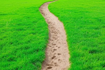 Illustration trodden - Image 1