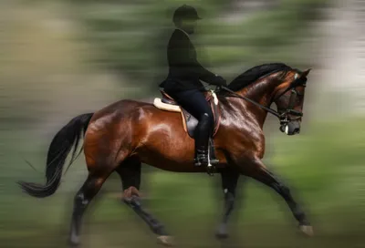 Illustration rid - Image 1