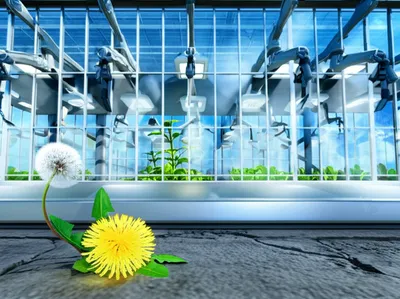 Illustration overprotected