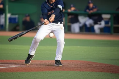 Illustration bunts - Image 1